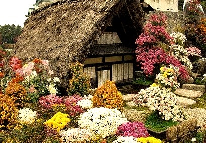 Gardens at Nagoya Castle, Japan