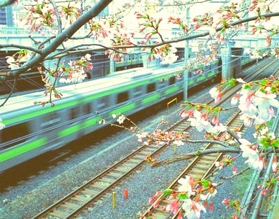 Train Station, Sakura, Japan