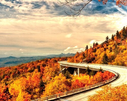 by eevy24012 on Flickr.Autumn colours at Linn Cove Viaduct - North Carolina, USA.