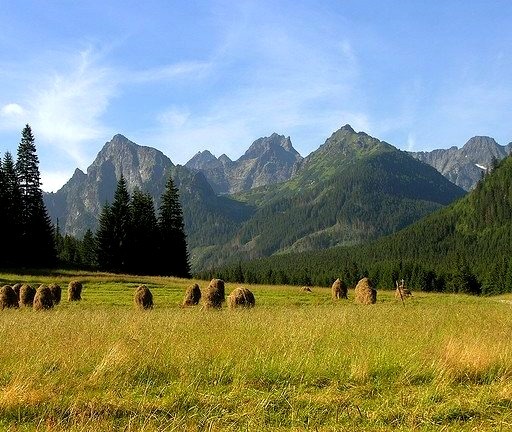 by beranekp on Flickr.Slovakian landscape in Bielovodska Dolina, High Tatra Mountains.