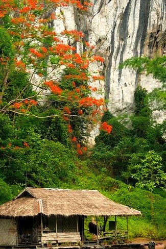 House on the river in Sai Yok National Park, Thailand