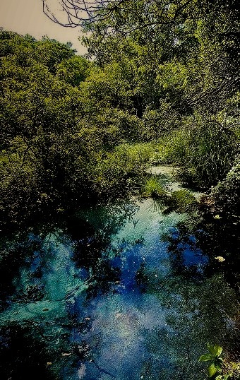 The blue spring of Rio Sucuri in Mato Grosso do Sul, Brazil