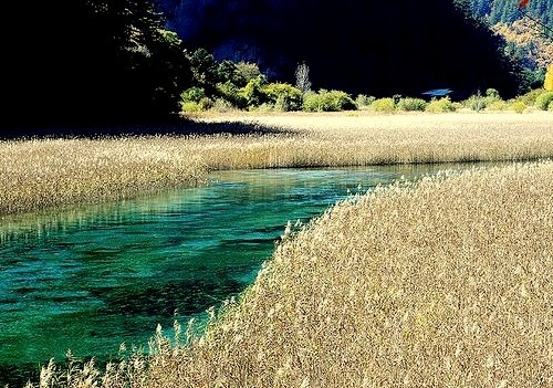 Reed Lake in Jiuzhai Valley National Park, China