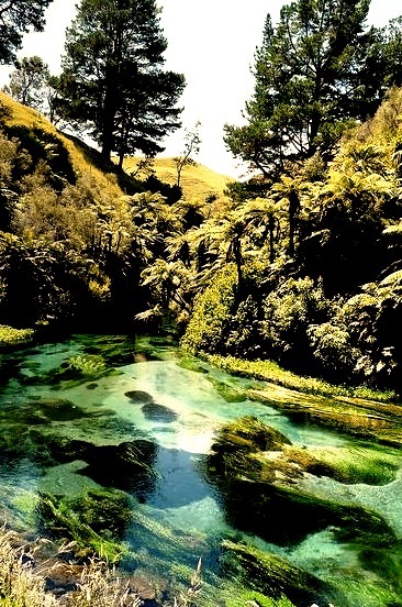 Blue clear waters of Waihou River, New Zealand