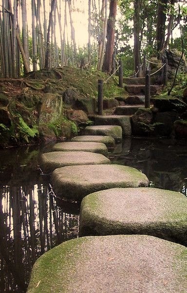 Stepping stones in the bamboo forest near Kyoto, Japan