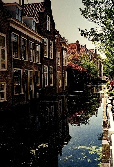Houses by the canal in Delft, Netherlands