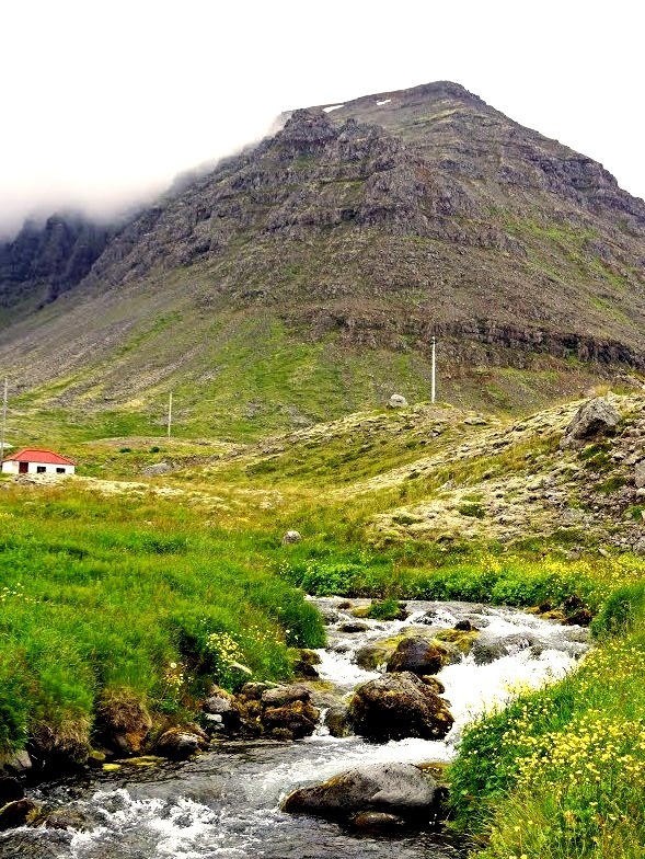 Freshwater streams of the Westfjords / Iceland